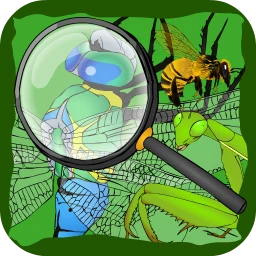 Insectos ocultos