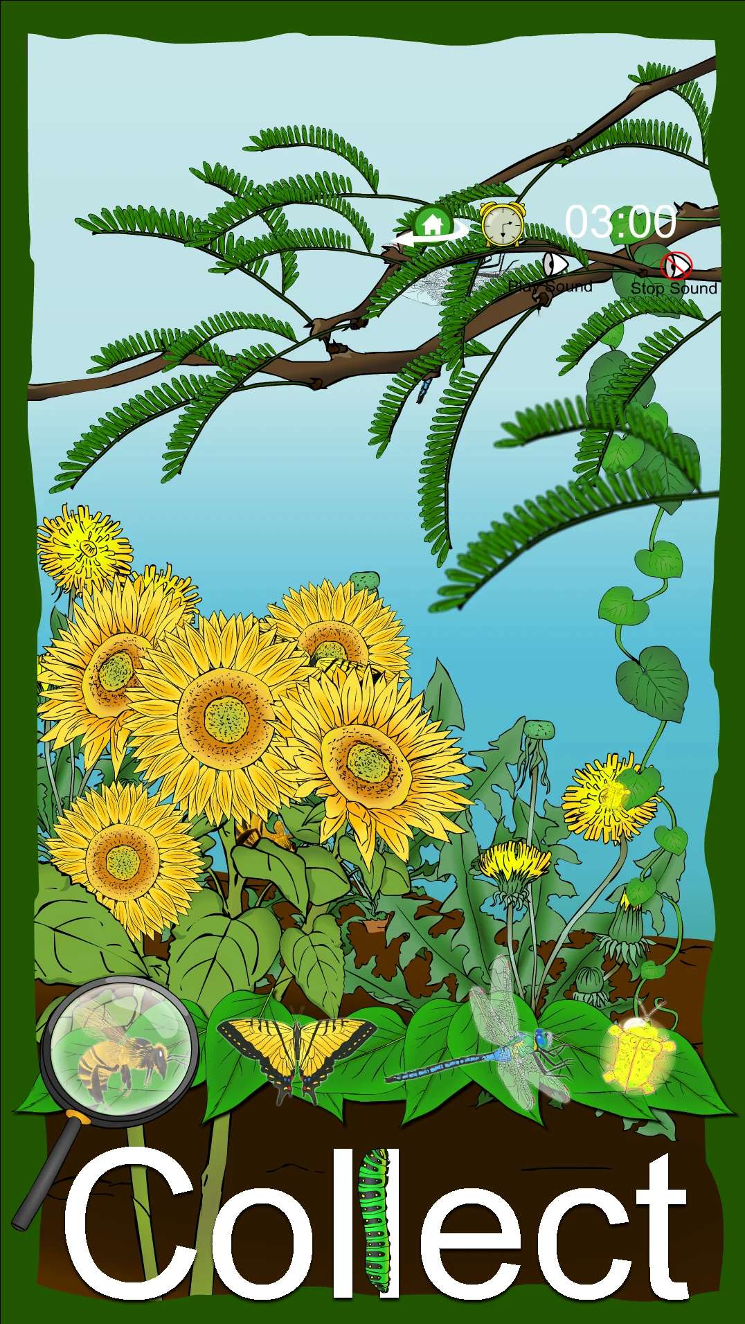 Hidden Insects screenshot