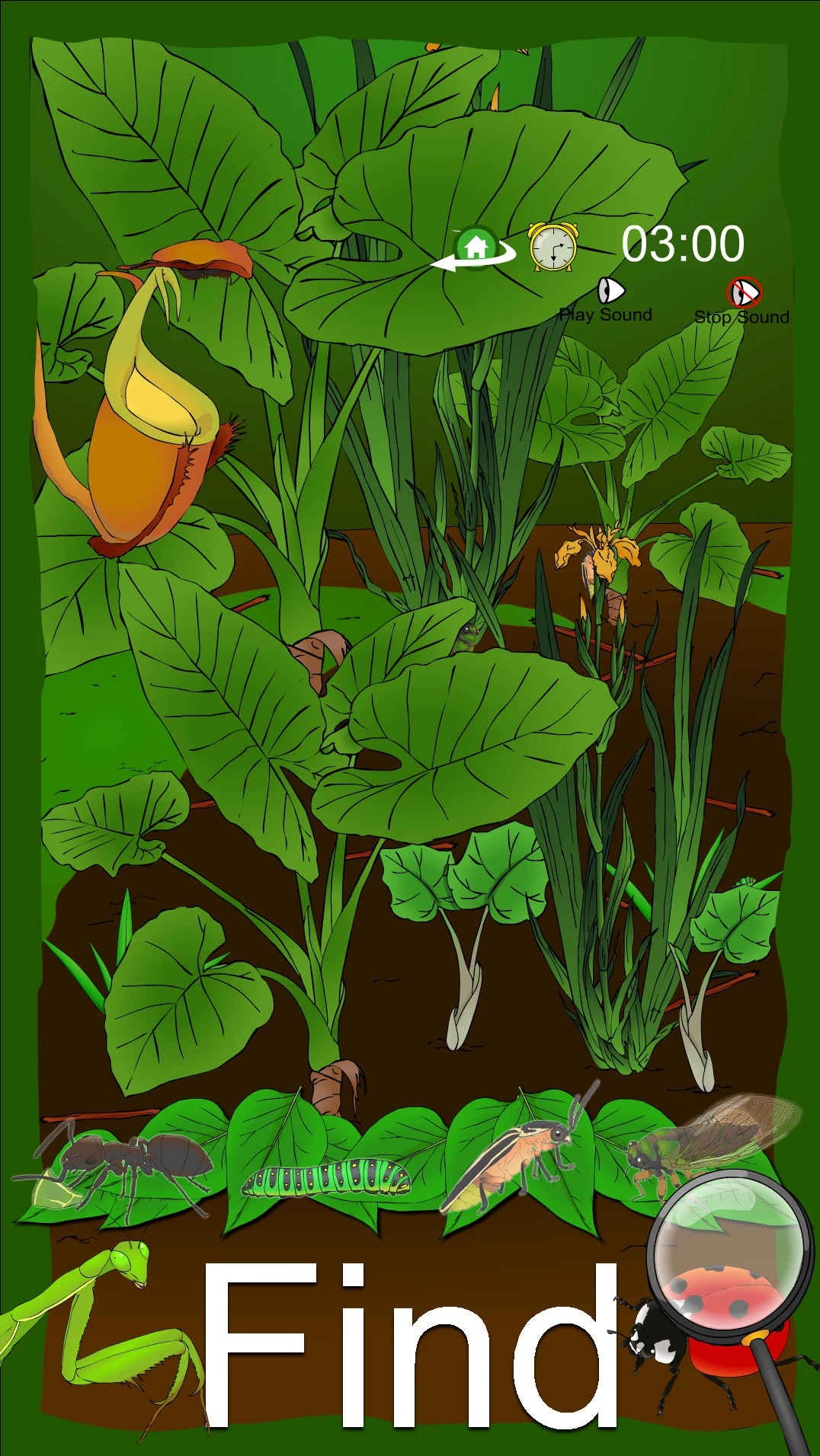Hidden Insects screenshot