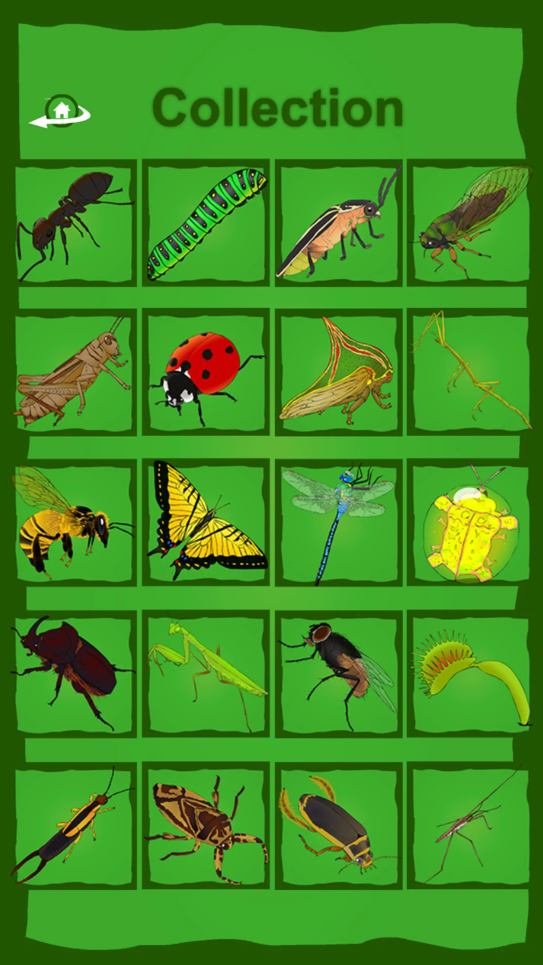 Hidden Insects screenshot